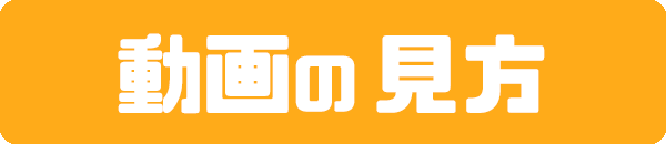 動画の見方
